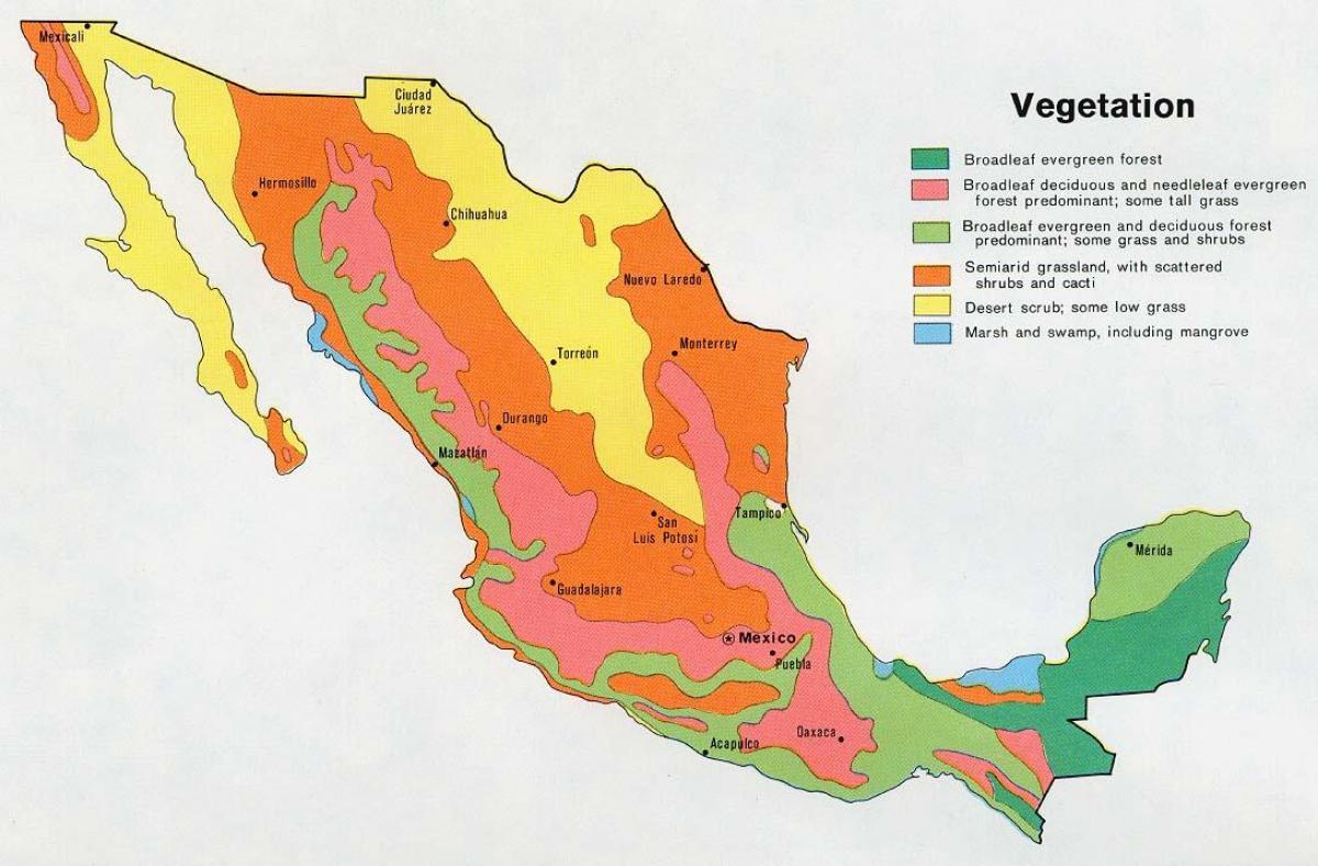 mapa Meksyku naturalne zasoby